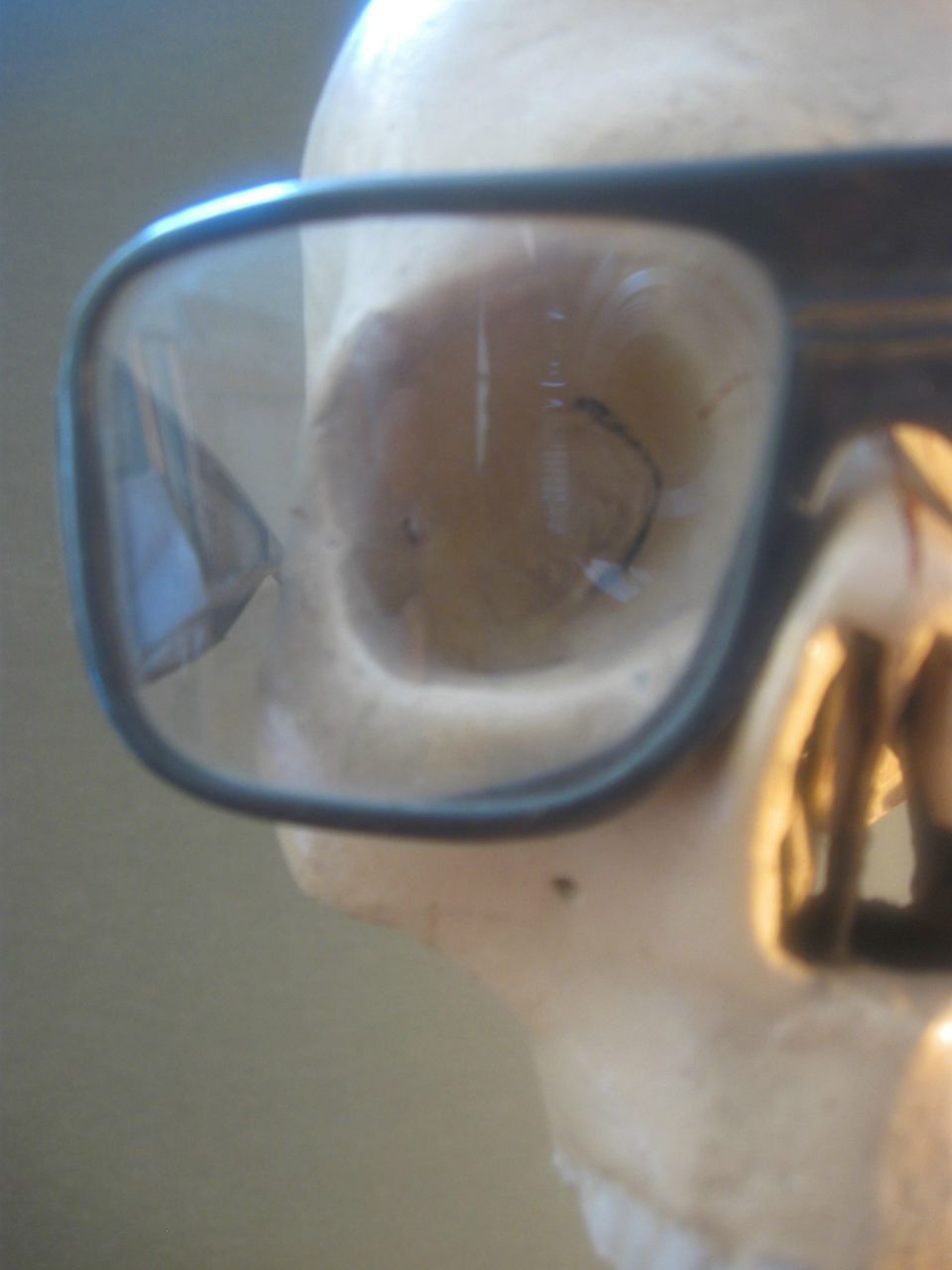 Владислав Готинчан | Черновцы