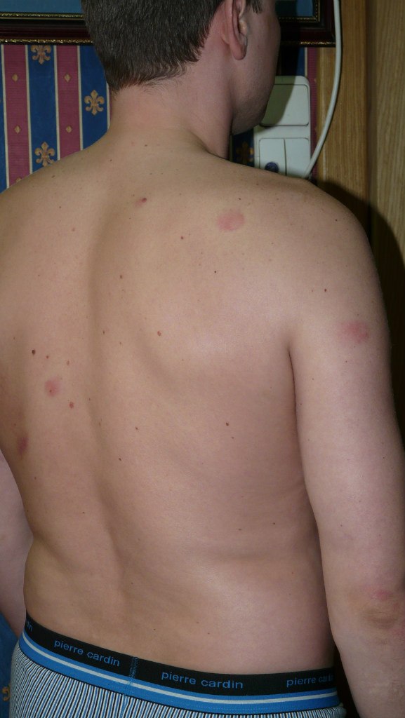 Аркадий Семенов | Санкт-Петербург