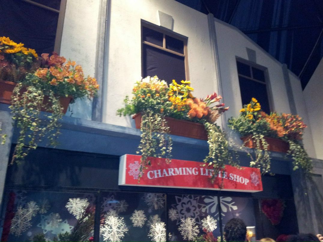 Влад Лейбензон | Хайфа