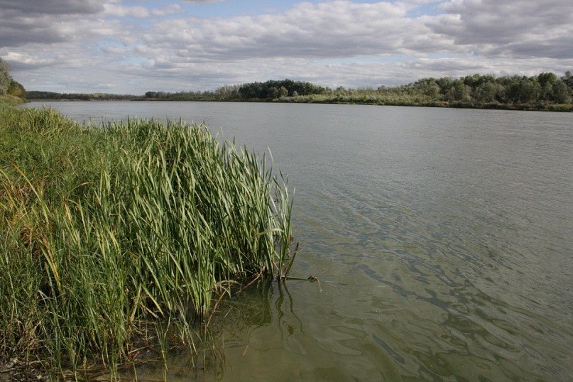 Маргарита Иванова | Москва