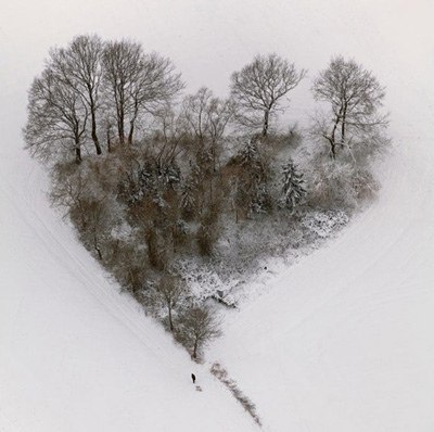 Чен Чень | Харьков