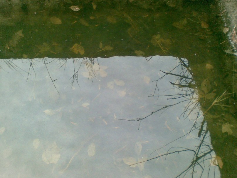 Игорь Лакшин | Магнитогорск