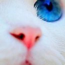 №115, Виталина Мач, Харьков №115, Виталина Мач, Харьков