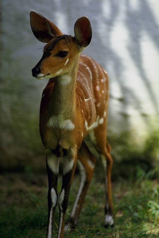 Мария Белякова | Самара