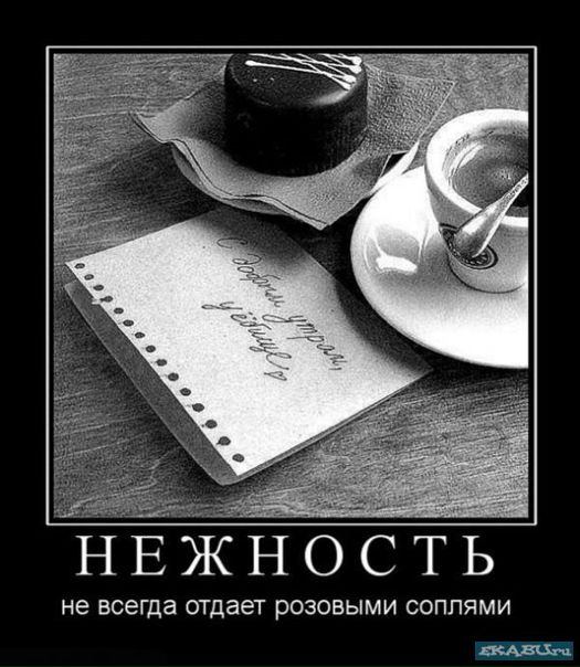 №12, Дмитрий Андриянов №12, Дмитрий Андриянов