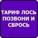 Альмира Шарипова фотография #21