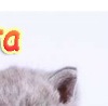 №9 Лена Дмитриева