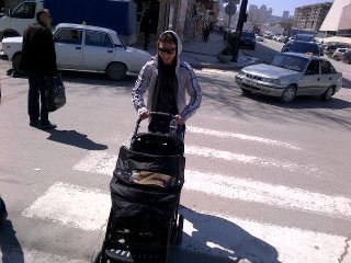 Заур Аббасов | Харьков