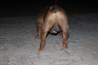 Сергей Морозов