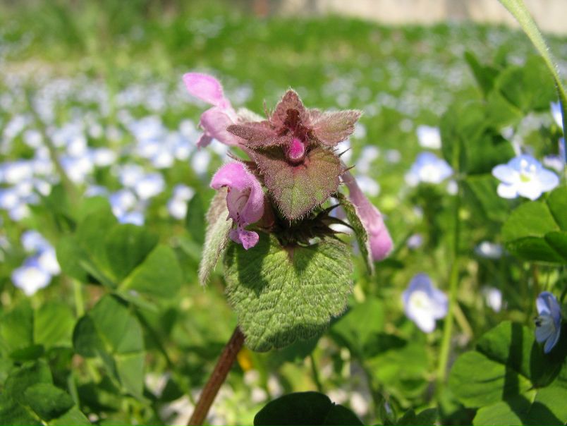 №95, Ольга Миусова, Херсон №95, Ольга Миусова, Херсон