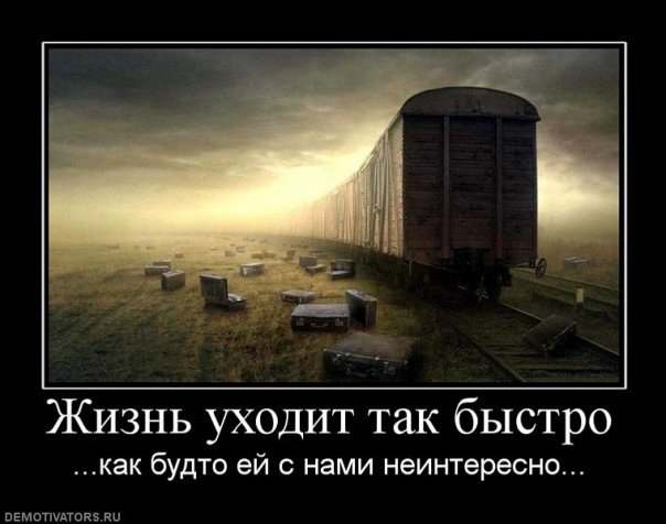 Виталий Кузьменков | Санкт-Петербург