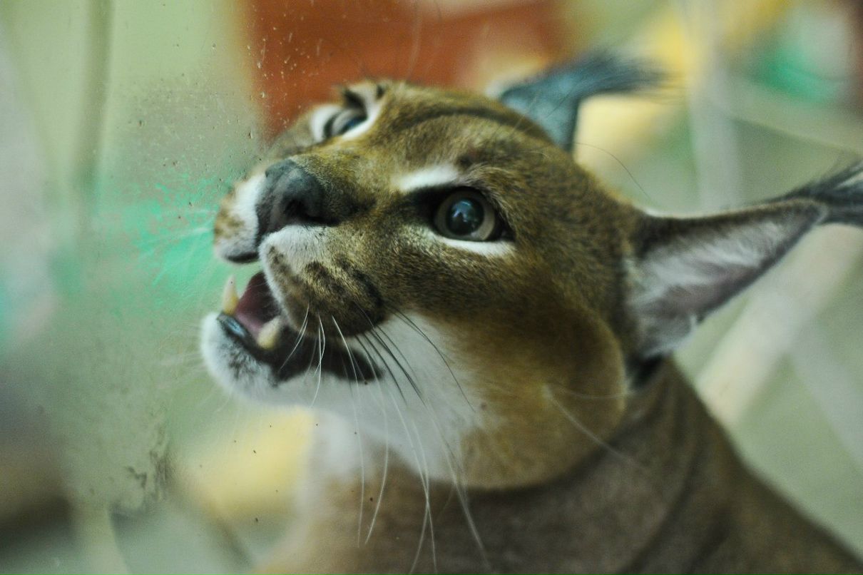 Мария Янцен | Екатеринбург