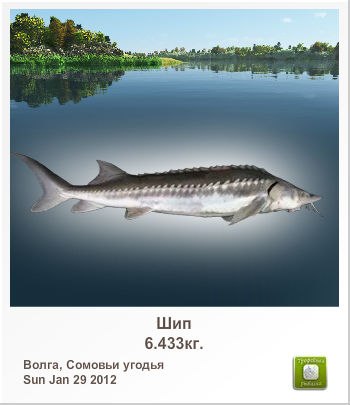 Андрей Привень | Саранск