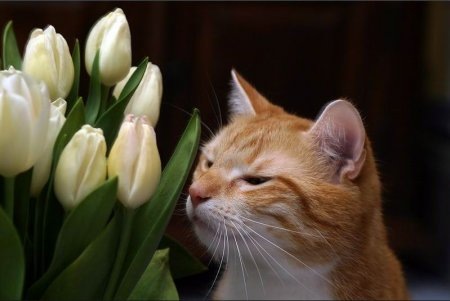 №12, Алена Багирова, Москва №12, Алена Багирова, Москва