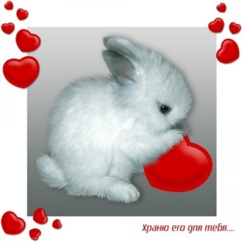 №86, Елена Монина, Новосибирск №86, Елена Монина, Новосибирск