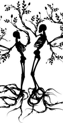 Pavel Lee Бойцов | Ставрополь