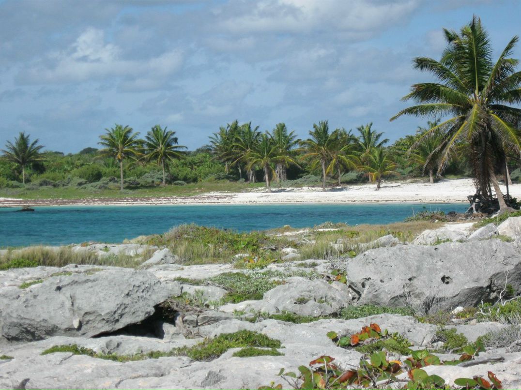 Андрей Полторацков Mistik | Москва