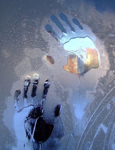 №28, Алёна Коробко №28, Алёна Коробко