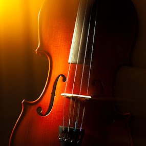 Нежмеддин Шемли | Monastir