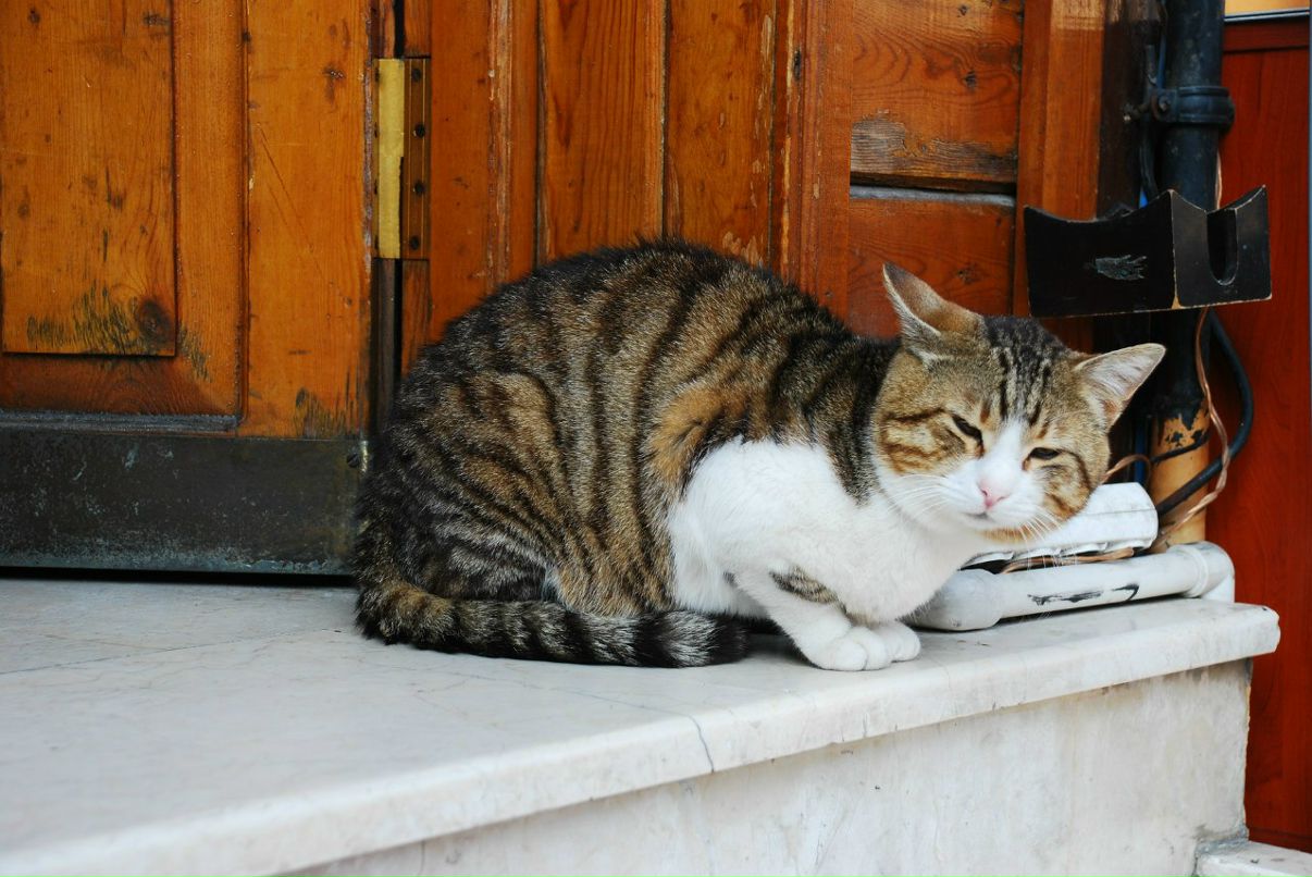 Дарья Сонькина | Москва