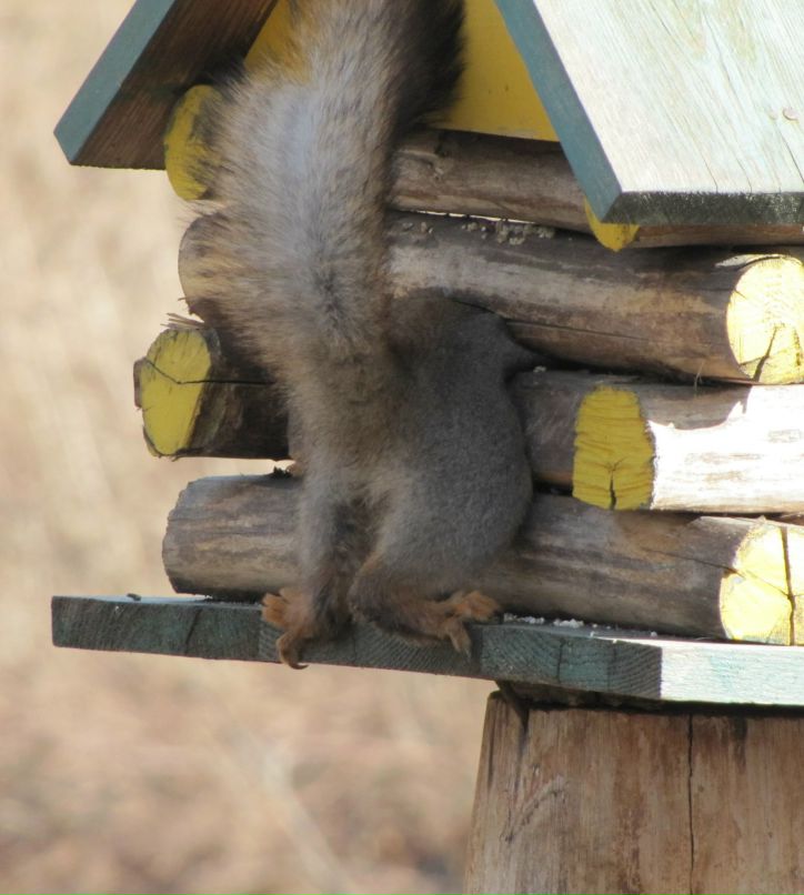 Павел Ткаченко | Санкт-Петербург