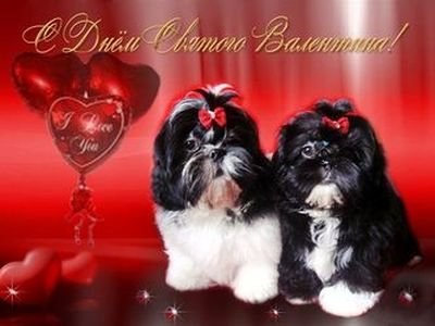 Ivan Lopatkin CKAM | Шуя