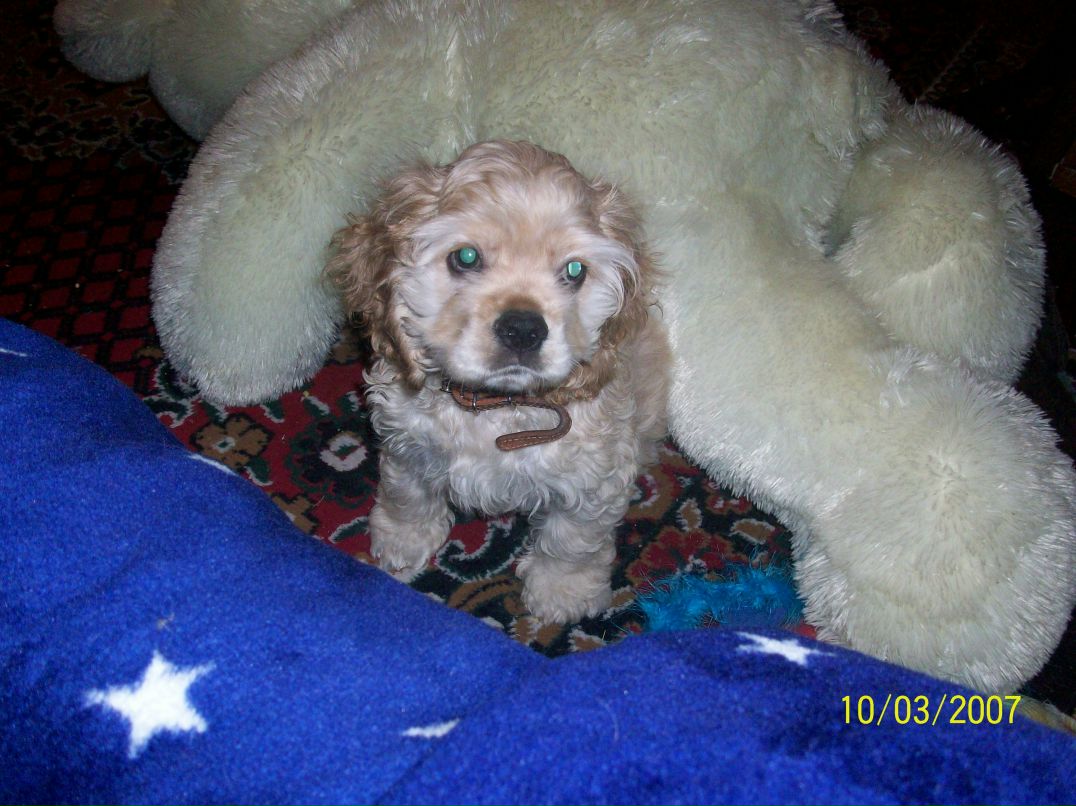 Даша Хамутинина Pandochka | Николаев