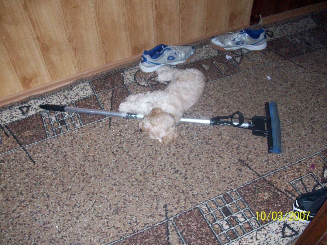 Даша Хамутинина Pandochka | Николаев