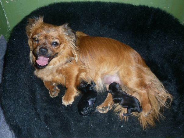 №57, Виктория Казанова, 40 лет, Мончегорск, Россия №57, Виктория Казанова, 40 лет, Мончегорск, Россия