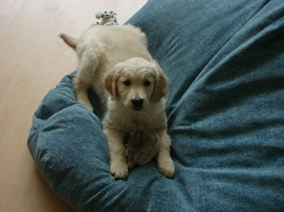 Юлия Амелянович | Санкт-Петербург