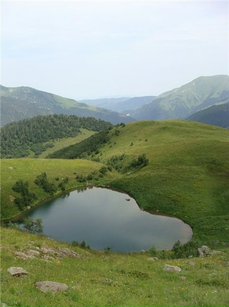 №177, Сергей Строгонов №177, Сергей Строгонов