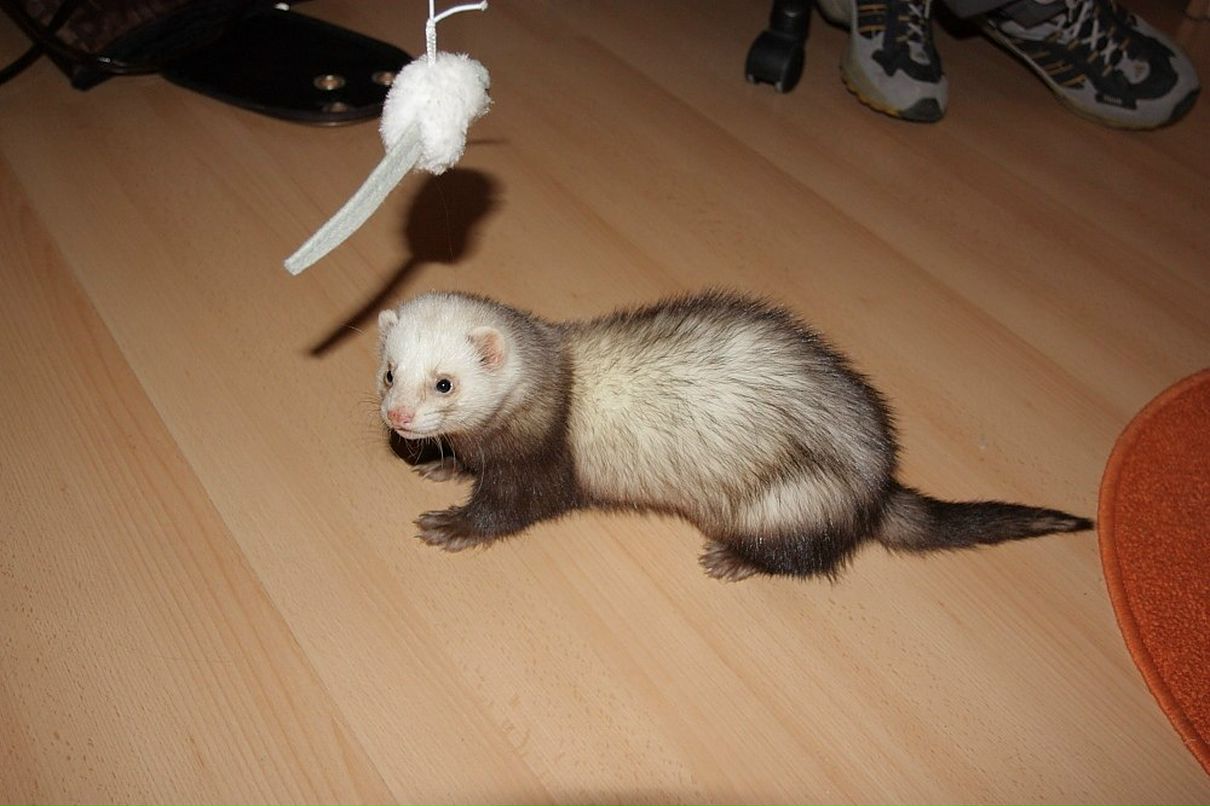 Дарья Горбачева | Москва