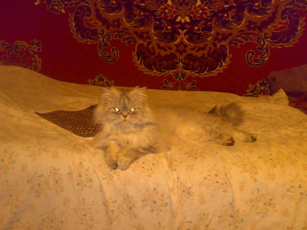 №88, Вадім Щигельський, Львов №88, Вадім Щигельський, Львов