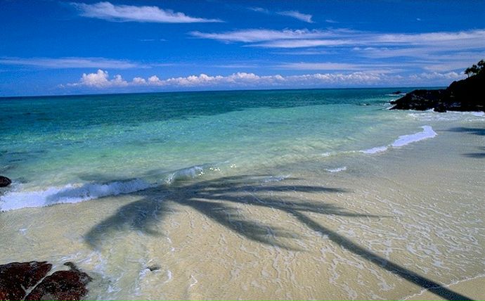 №11, Женечка , 38 лет, Москва, Россия №11, Женечка , 38 лет, Москва, Россия