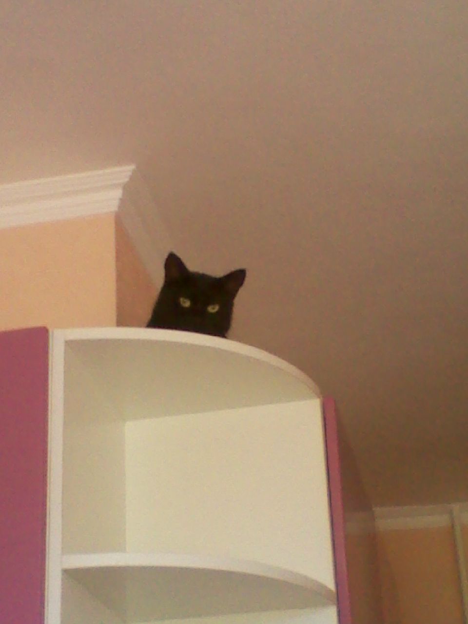 Анна Величко | Севастополь