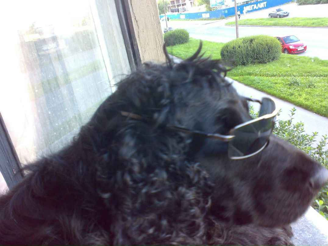 Татьяна Онопрейко | Санкт-Петербург