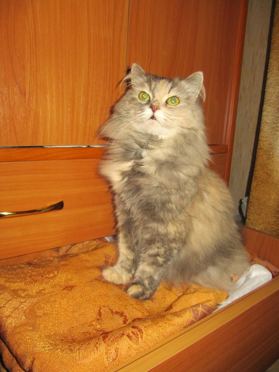 Дарья Докшина | Ижевск