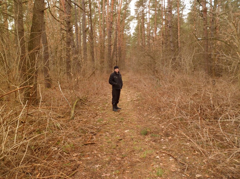 Олег Пограничный | 