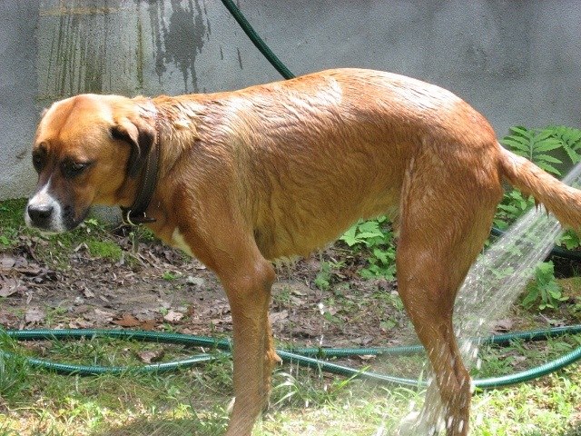 Наташа Загребина | Санкт-Петербург