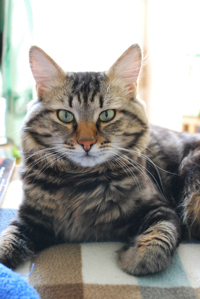 Олеся Шишкова | Москва