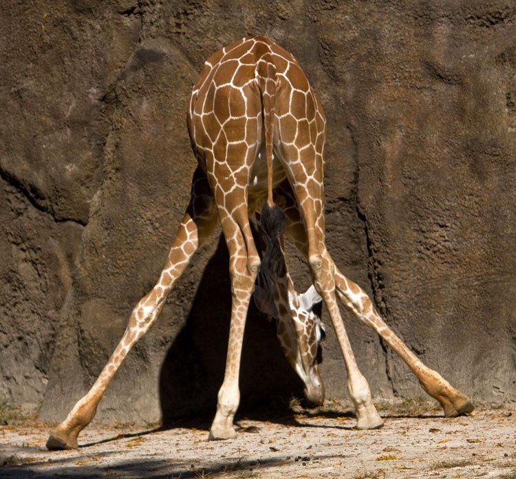 Екатерина Зуева | Тюмень