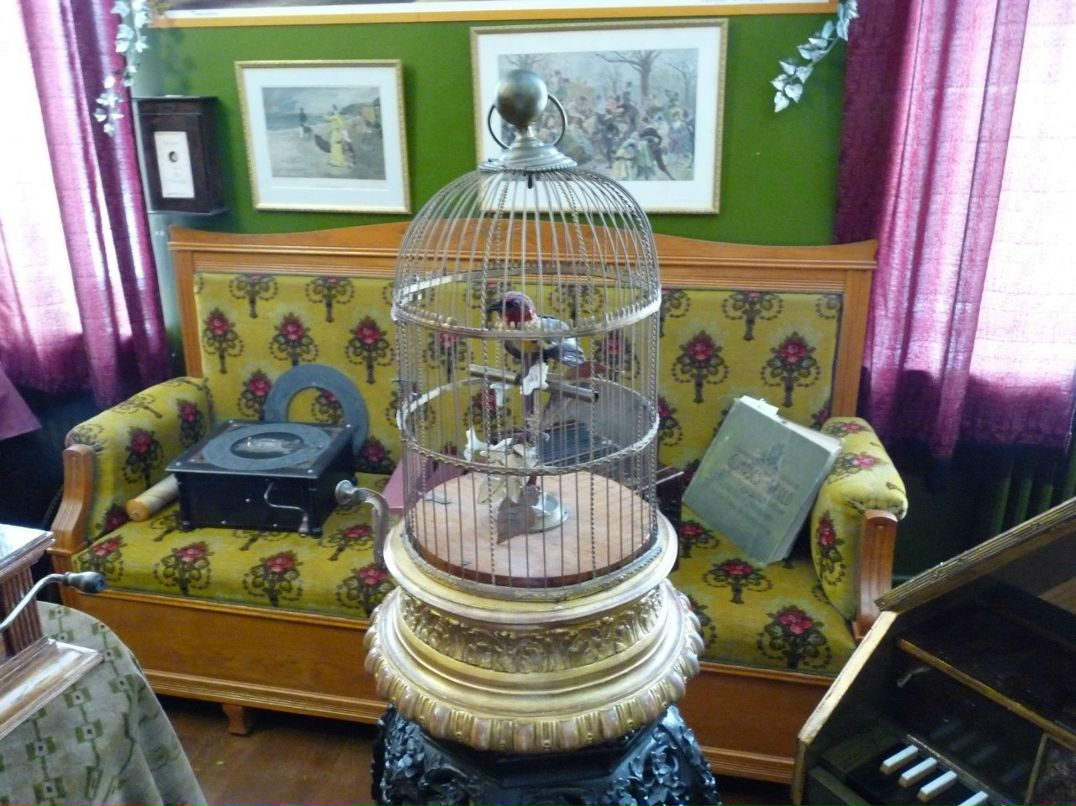 Светлана Ларионова | Санкт-Петербург