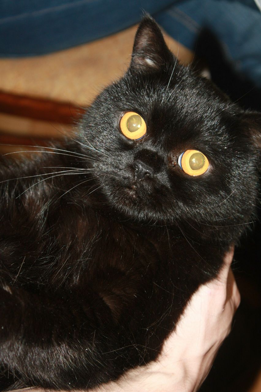 Ксюша Дерягина | Санкт-Петербург