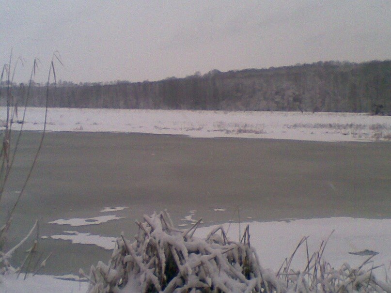 Роман Каленюк | Киев