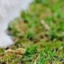 Фотография Валерия Татаринцева