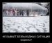 Василий Гаврилов фотография #16