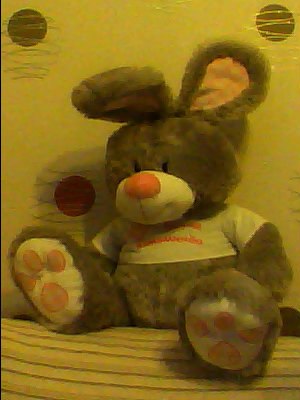 Рита Котоманова КТМ | Вологда