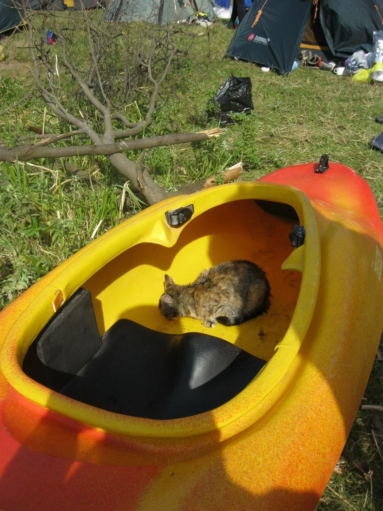 Димася-Шикарный-Мужчина Чумак | Сумы