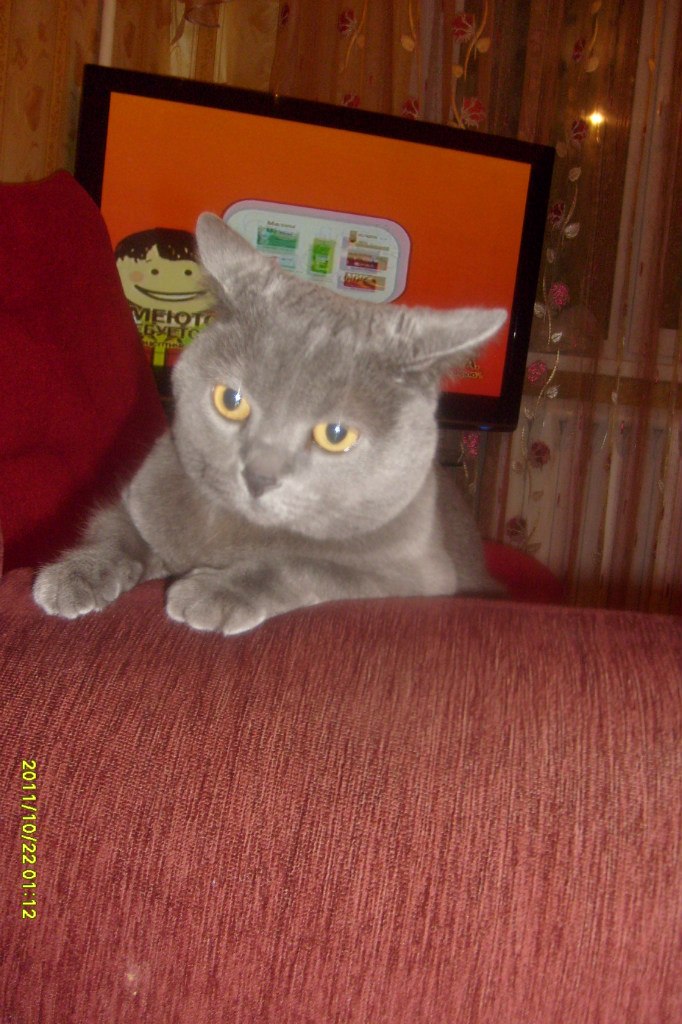 Лёха Очеев | Йошкар-Ола