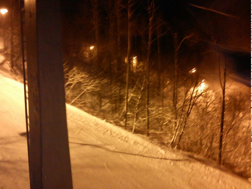 Эльвира Устюшина | Саранск